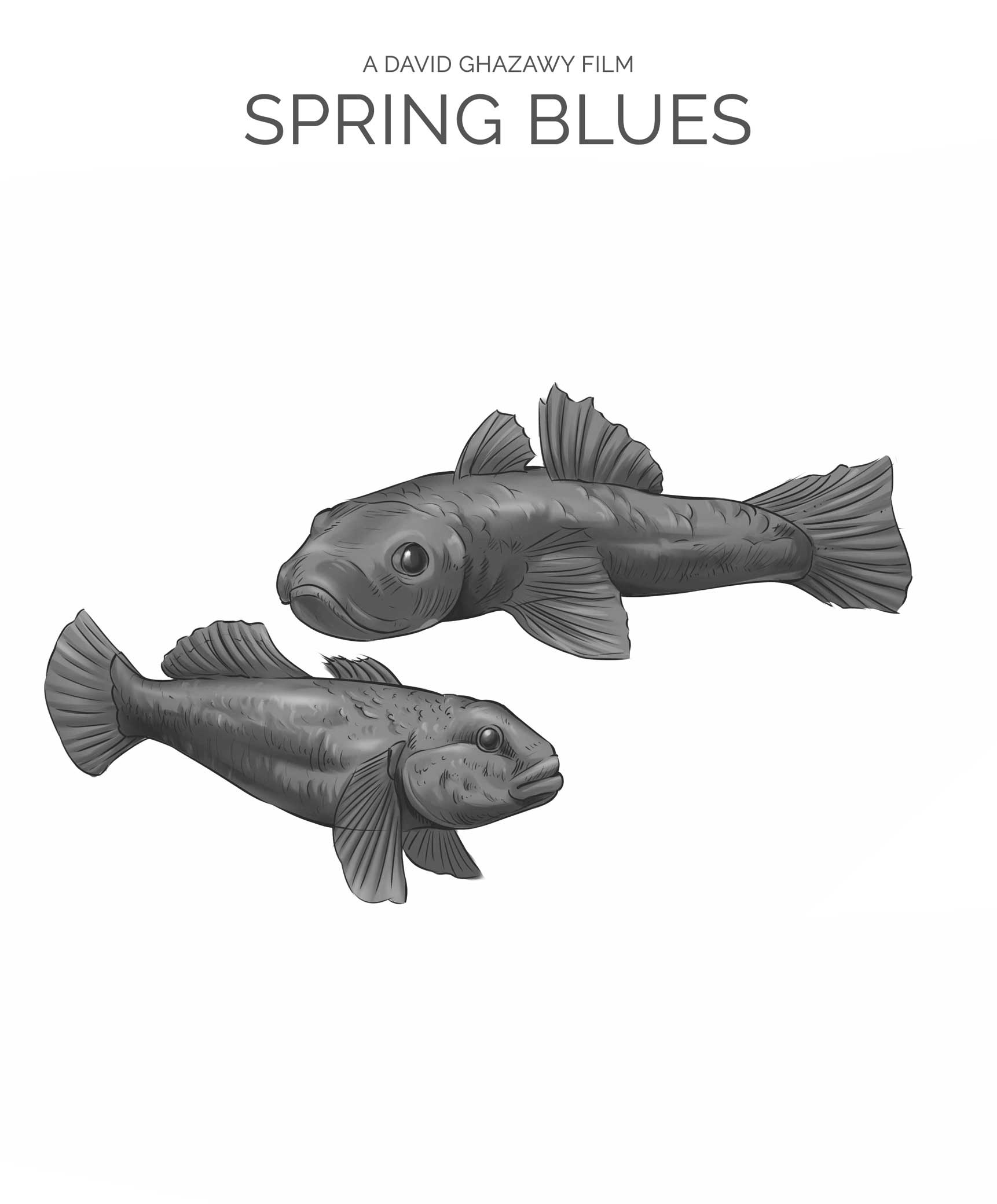 Spring Blues Film: Goby Fish